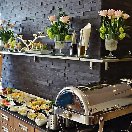 Silvia Gold 酒店 格利维采