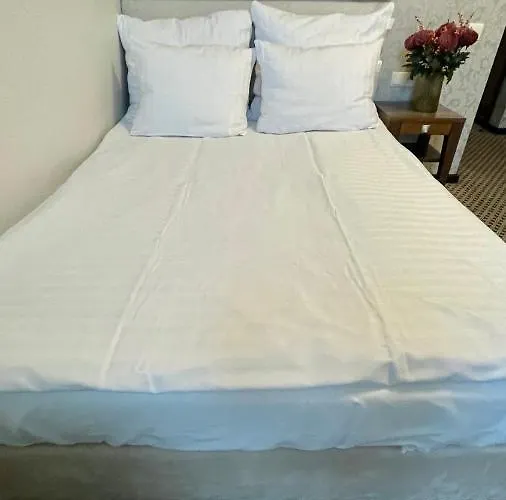 Silvia Gold מלון 3*