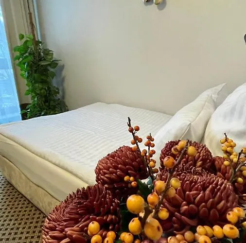 Silvia Gold 3* 格利维采